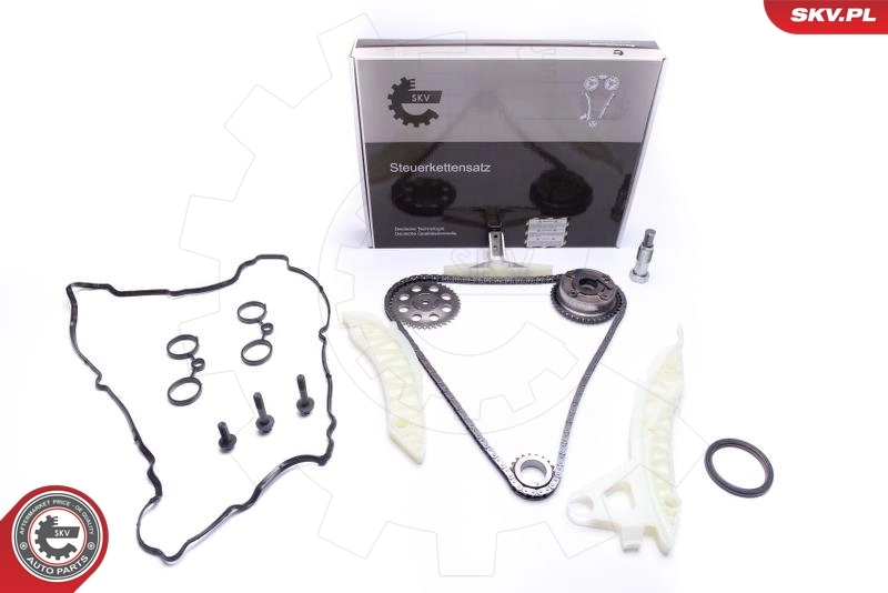 Timing Chain Kit